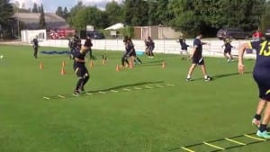 Male atheletes traing on field with ladders and cones