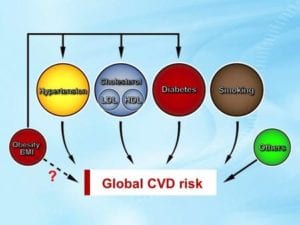 Graph on global CVD risk factors in red, yellow, green, blue, brown circles on blue background