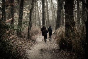 Three people trail running in woods on fall